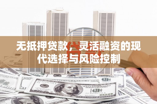 漳州无抵押贷款，灵活融资的现代选择与风险控制