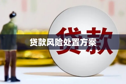 漳州贷款风险处置方案