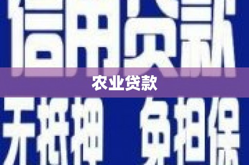 漳州农业贷款