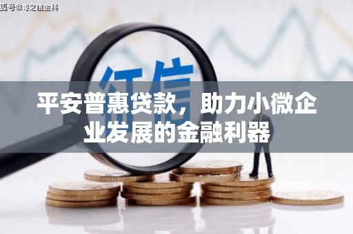 漳州平安普惠贷款，助力小微企业发展的金融利器