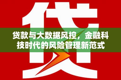 漳州贷款与大数据风控，金融科技时代的风险管理新范式