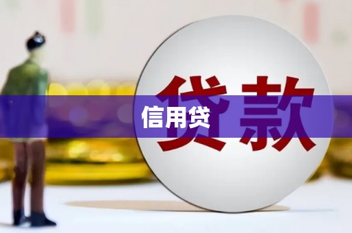 漳州信用贷