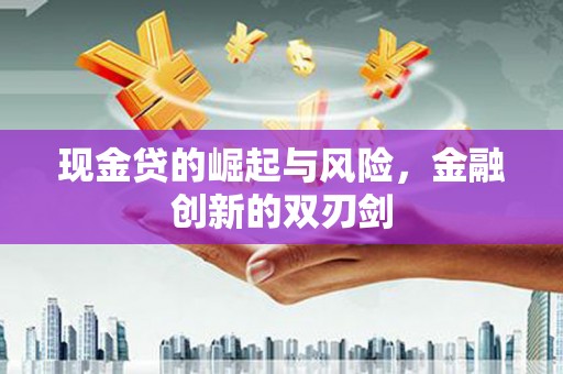 漳州现金贷的崛起与风险，金融创新的双刃剑