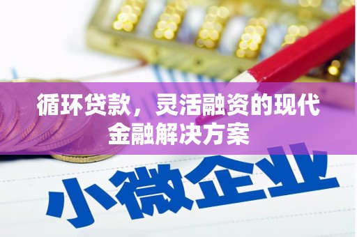漳州循环贷款，灵活融资的现代金融解决方案
