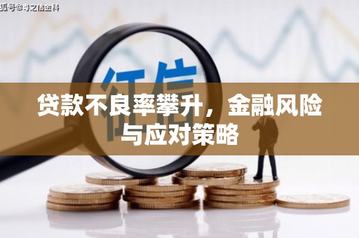 漳州贷款不良率攀升，金融风险与应对策略