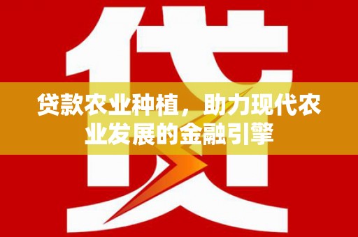 漳州贷款农业种植，助力现代农业发展的金融引擎