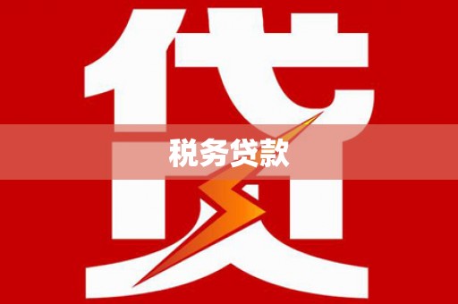漳州税务贷款