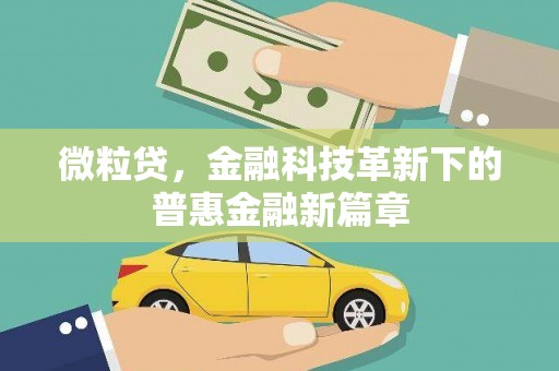 漳州微粒贷，金融科技革新下的普惠金融新篇章
