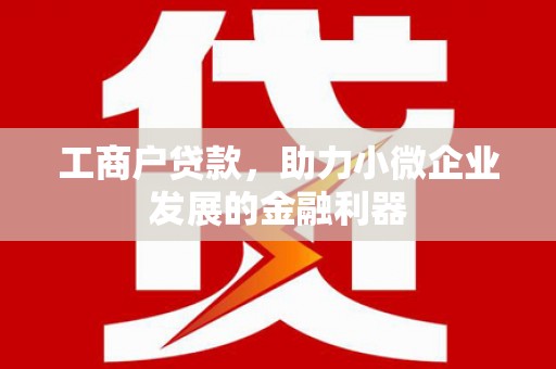 漳州工商户贷款，助力小微企业发展的金融利器