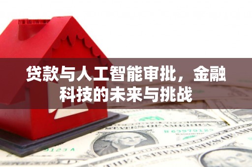 漳州贷款与人工智能审批，金融科技的未来与挑战