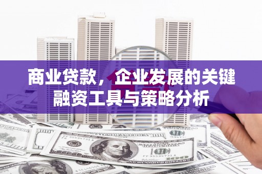 漳州商业贷款，企业发展的关键融资工具与策略分析