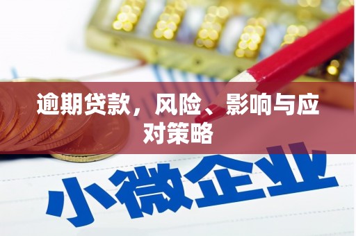 漳州逾期贷款，风险、影响与应对策略