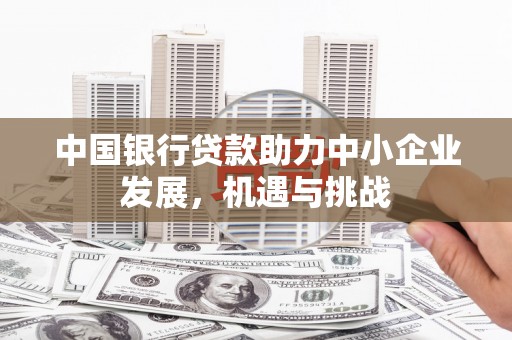 漳州中国银行贷款助力中小企业发展，机遇与挑战