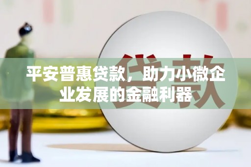 漳州平安普惠贷款，助力小微企业发展的金融利器