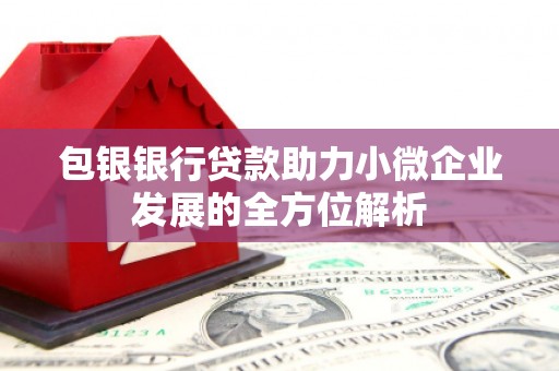漳州包银银行贷款助力小微企业发展的全方位解析