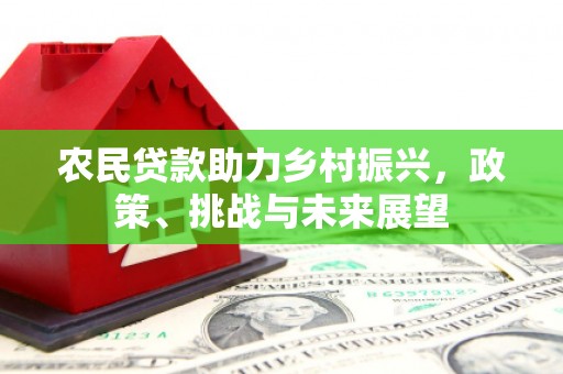 漳州农民贷款助力乡村振兴，政策、挑战与未来展望
