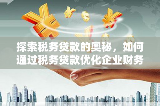 漳州探索税务贷款的奥秘，如何通过税务贷款优化企业财务