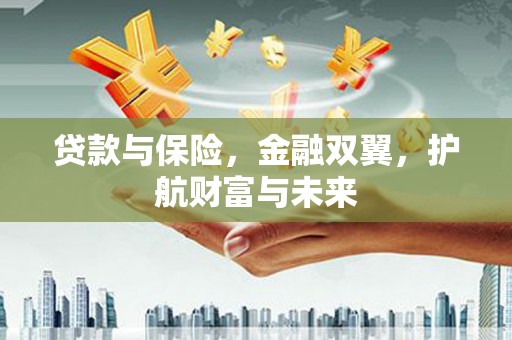 漳州贷款与保险，金融双翼，护航财富与未来