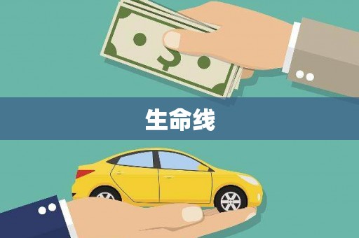 漳州生命线