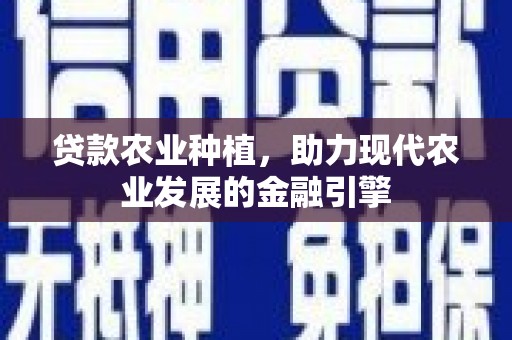 漳州贷款农业种植，助力现代农业发展的金融引擎