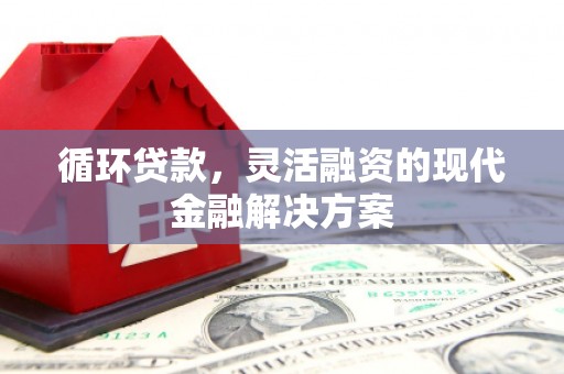 漳州循环贷款，灵活融资的现代金融解决方案