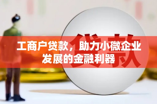 漳州工商户贷款，助力小微企业发展的金融利器