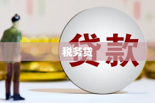 漳州税务贷