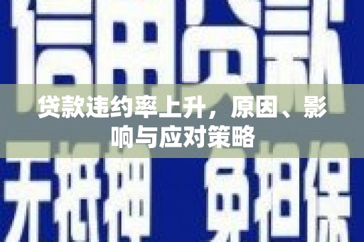 漳州贷款违约率上升，原因、影响与应对策略