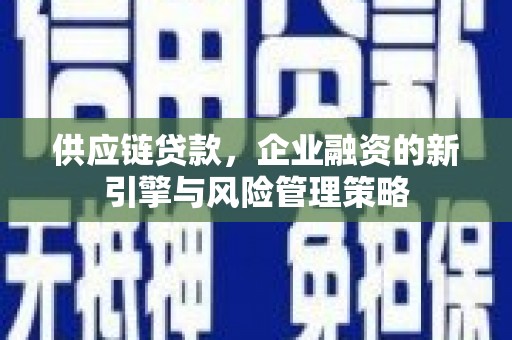 漳州供应链贷款，企业融资的新引擎与风险管理策略