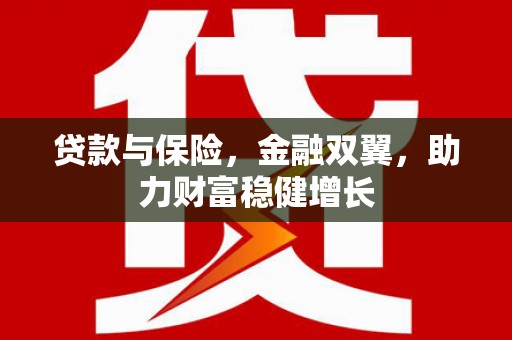 漳州贷款与保险，金融双翼，助力财富稳健增长