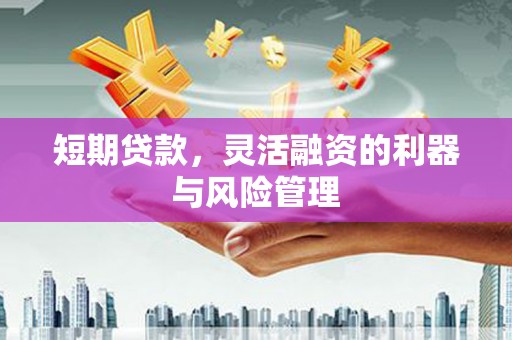 漳州短期贷款，灵活融资的利器与风险管理