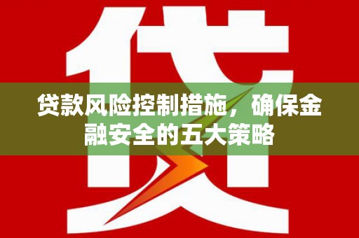 漳州贷款风险控制措施，确保金融安全的五大策略