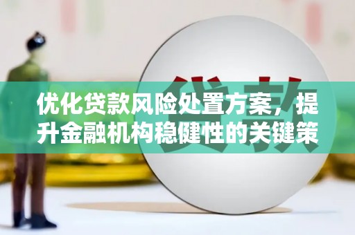 漳州优化贷款风险处置方案，提升金融机构稳健性的关键策略
