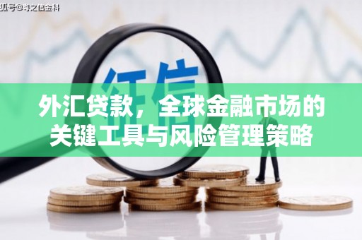 漳州外汇贷款，全球金融市场的关键工具与风险管理策略