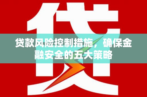 漳州贷款风险控制措施，确保金融安全的五大策略