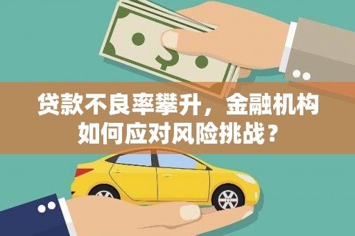 漳州贷款不良率攀升，金融机构如何应对风险挑战？