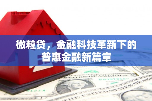 漳州微粒贷，金融科技革新下的普惠金融新篇章