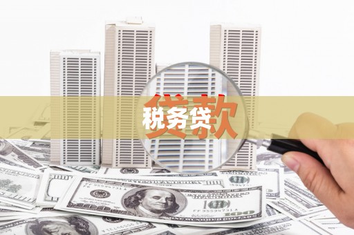 漳州税务贷