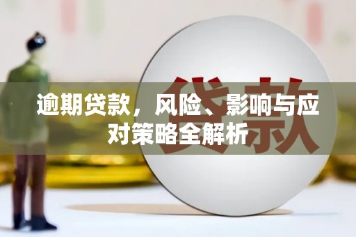 漳州逾期贷款，风险、影响与应对策略全解析