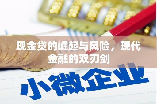 漳州现金贷的崛起与风险，现代金融的双刃剑