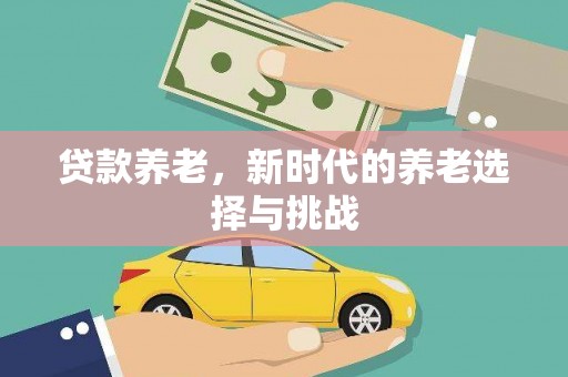 漳州贷款养老，新时代的养老选择与挑战