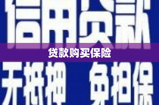 漳州贷款购买保险