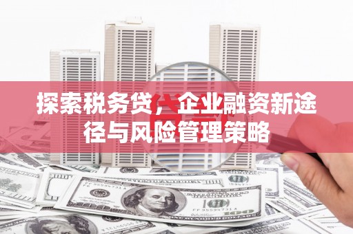 漳州探索税务贷，企业融资新途径与风险管理策略