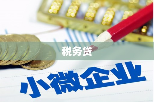 漳州税务贷