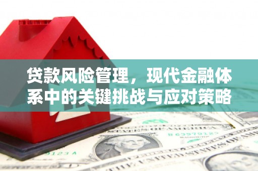 漳州贷款风险管理，现代金融体系中的关键挑战与应对策略