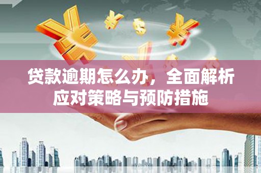 漳州贷款逾期怎么办，全面解析应对策略与预防措施