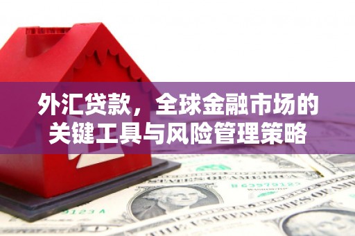 漳州外汇贷款，全球金融市场的关键工具与风险管理策略