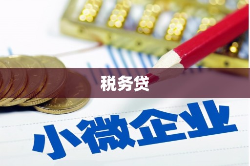 漳州税务贷