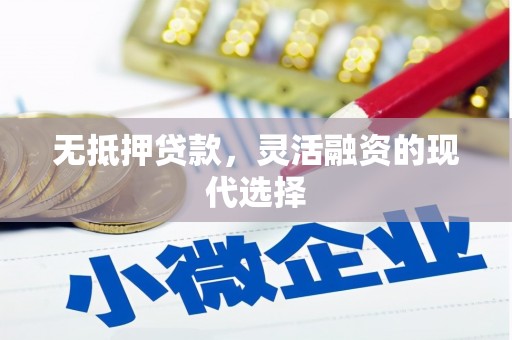 漳州无抵押贷款，灵活融资的现代选择