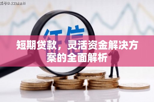 漳州短期贷款，灵活资金解决方案的全面解析